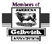 American Gelbvieh Association